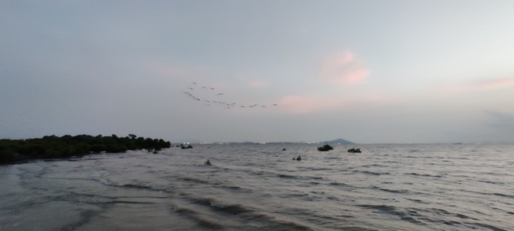 sea