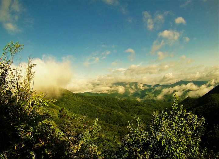 Mountain