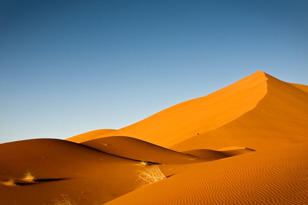 Sahara