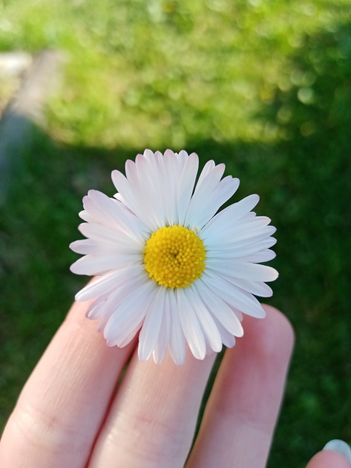 ?