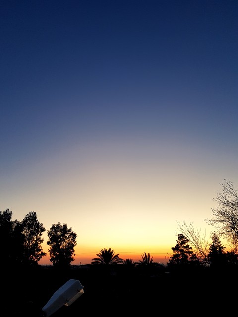 silent evening