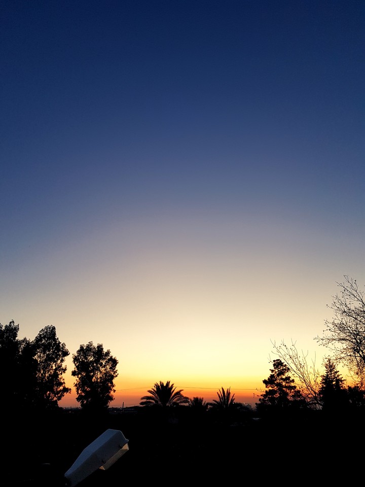 silent evening