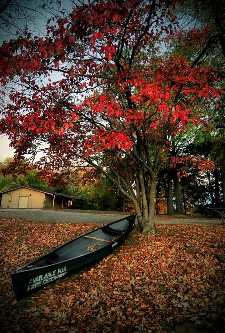 Solitude