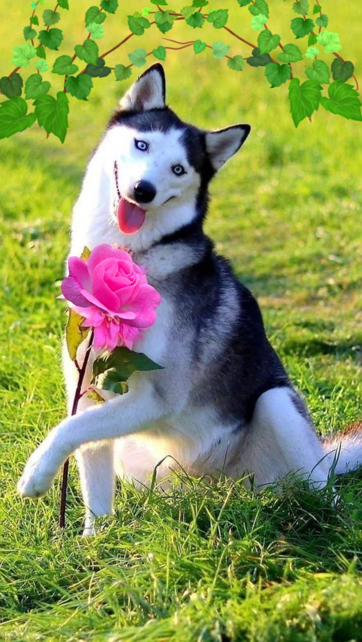 .