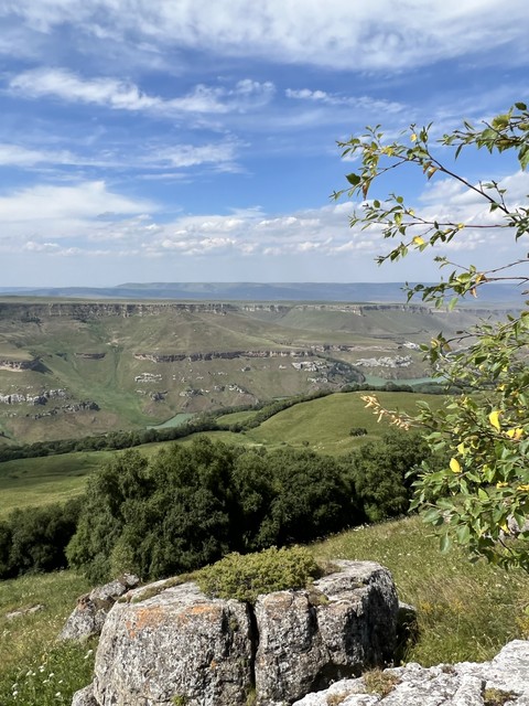 tapety mountain, grass