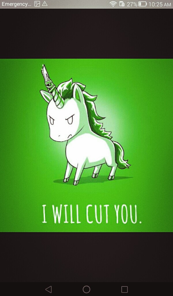 unicorns are BAE !!!