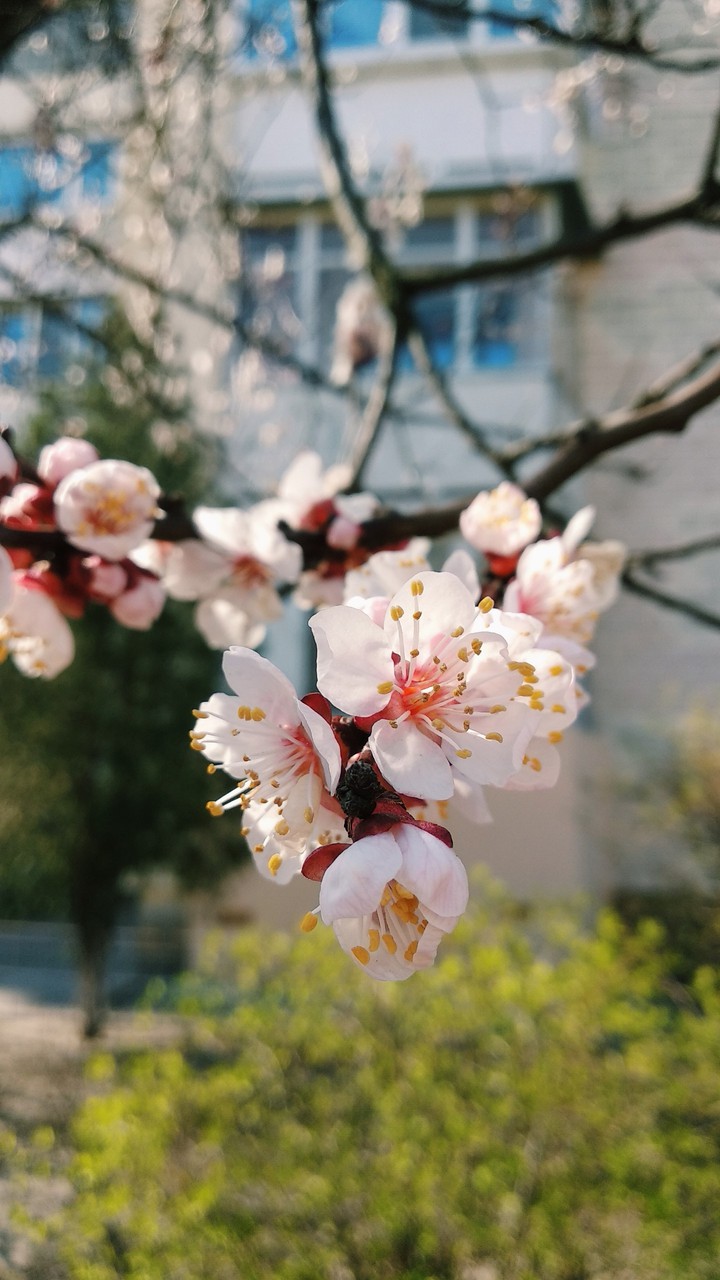 spring mood