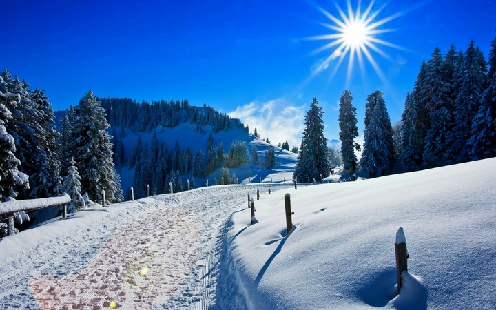 sunny day