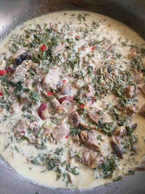 Spicy Coconut Milk