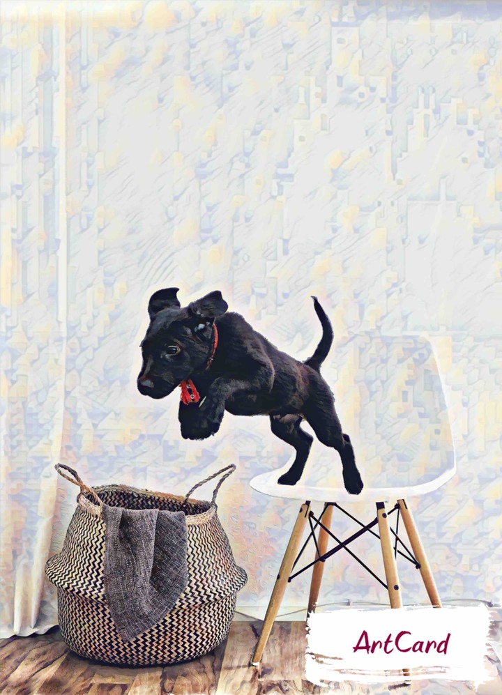 Jumping Doggie