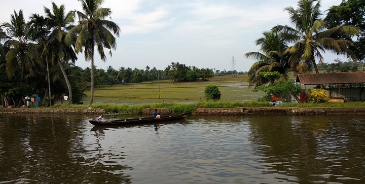 kerala amazing nature