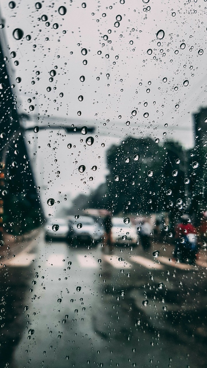 Rainy