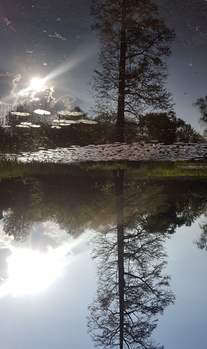 Water mirror
