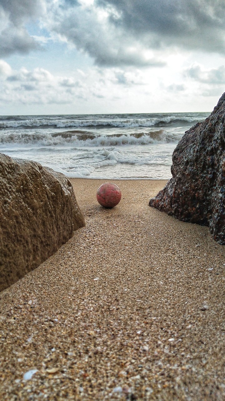 cricket ball
