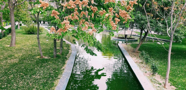 spring2