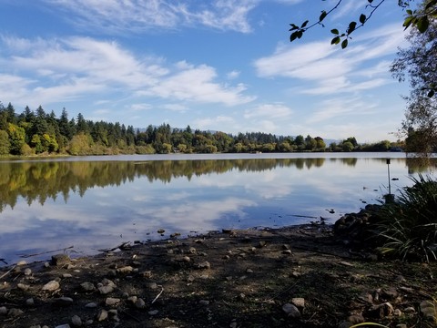 Lost Lagoon - Stanley Park