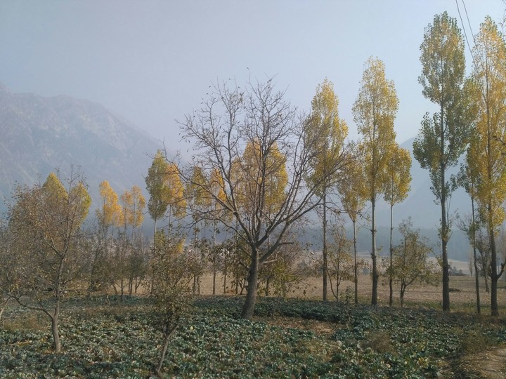 kalaam, swat, Pakistan