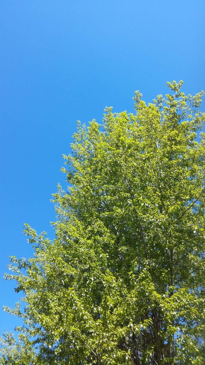 summer