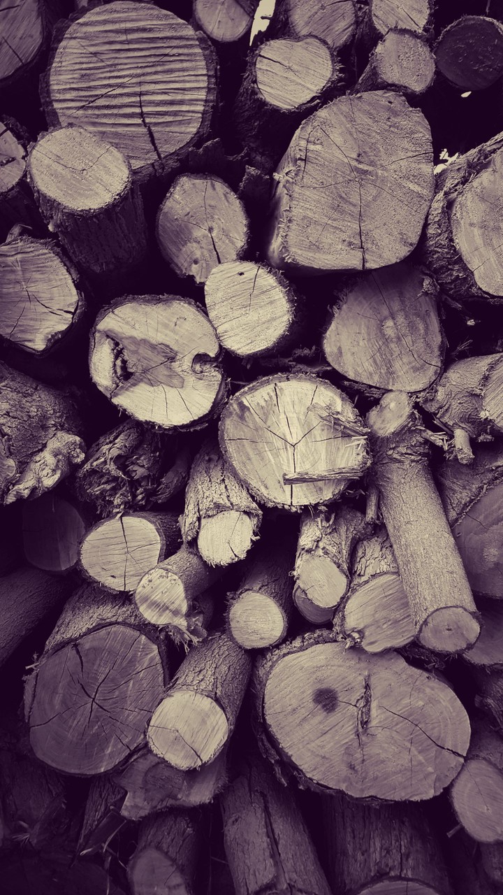 Wood