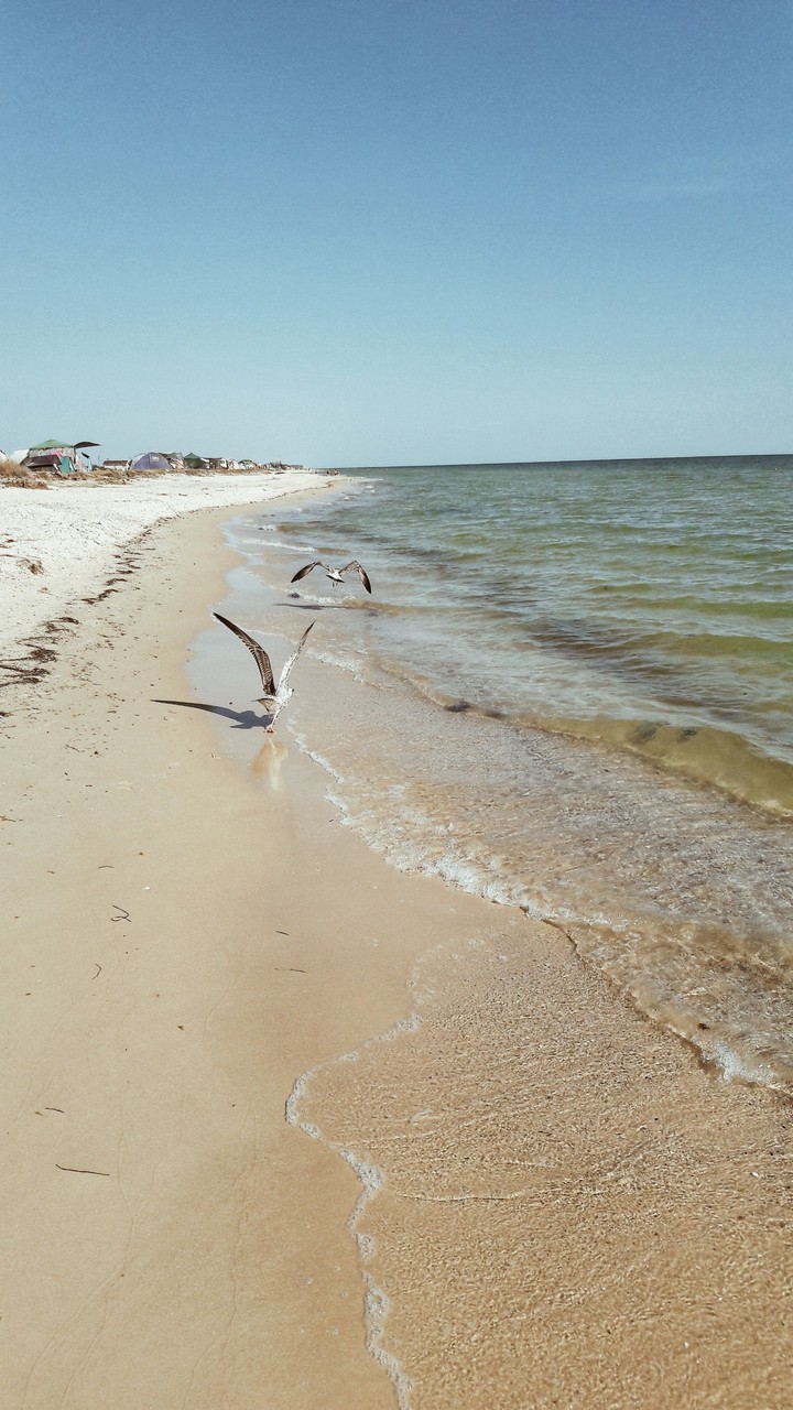 Beach