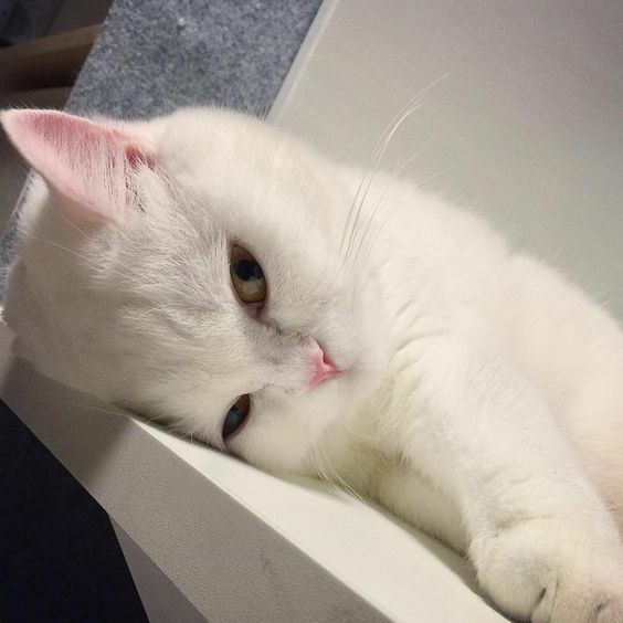 ,,,,