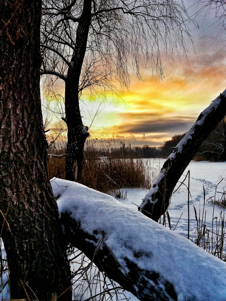 sunset  instagram bardinvladi_mir