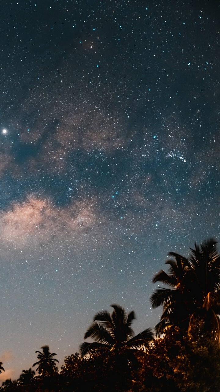 night sky