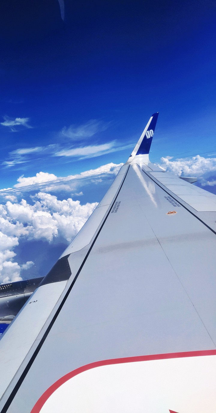My Flight