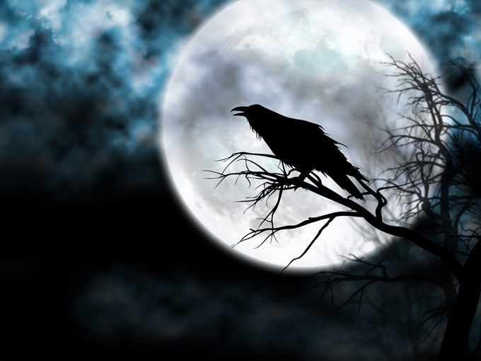 raven