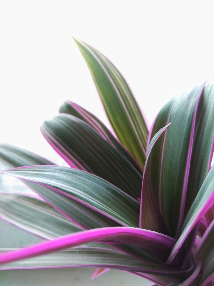 nature patterns