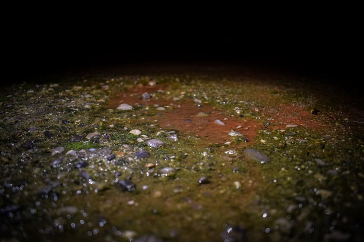 planet mars