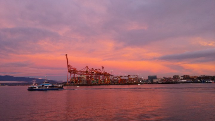 Pink Port