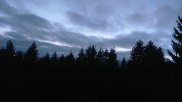 night nature