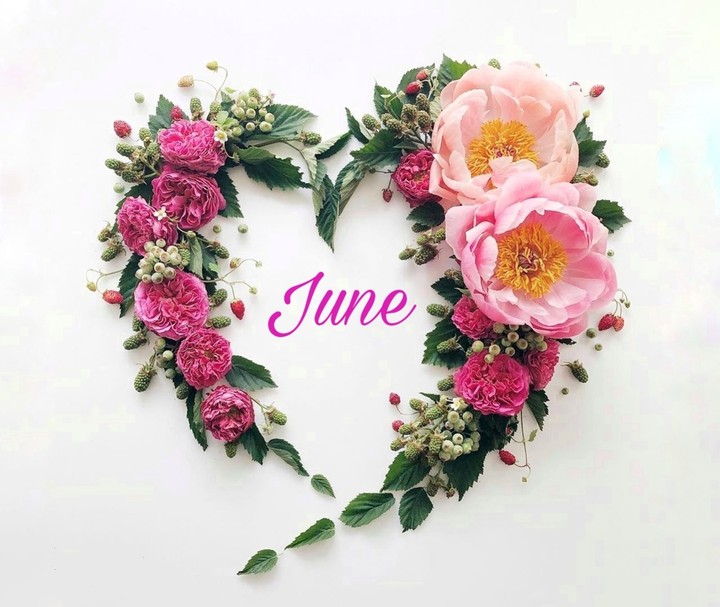Hello June ❤️