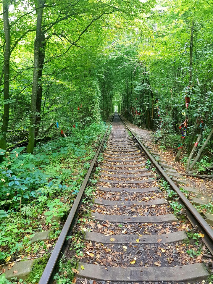 tunnel of love