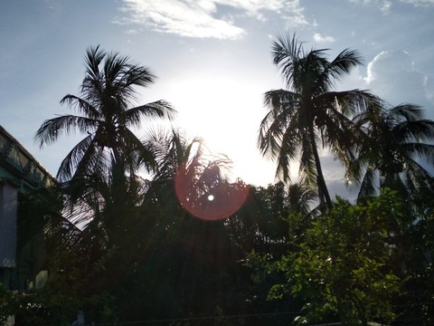light circle