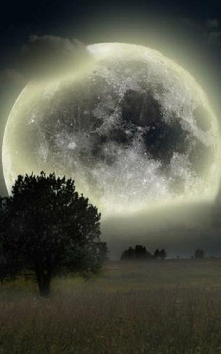 Moon