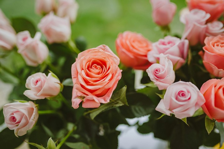 flowers