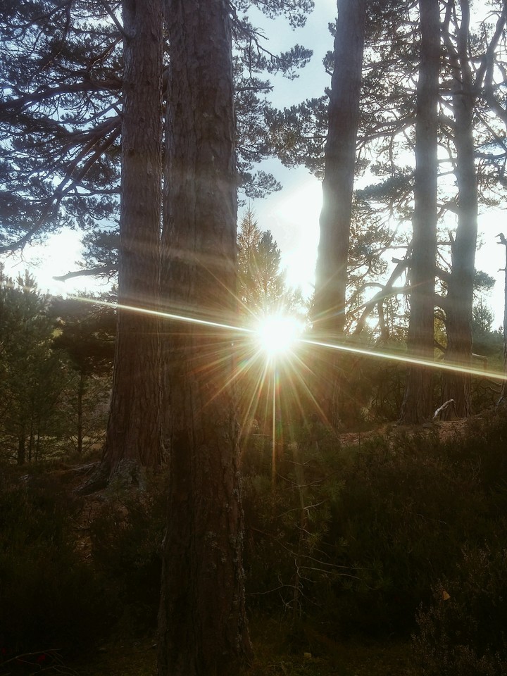 Lit