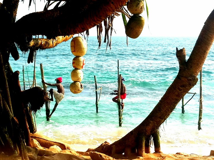 Stilt fishing