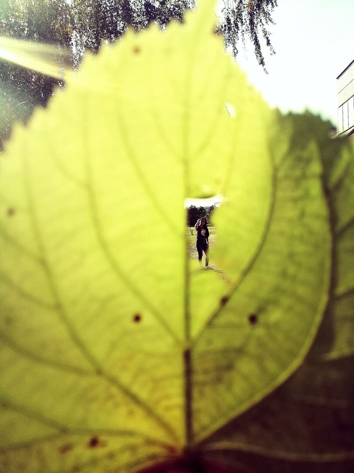 Enjoy the fall!