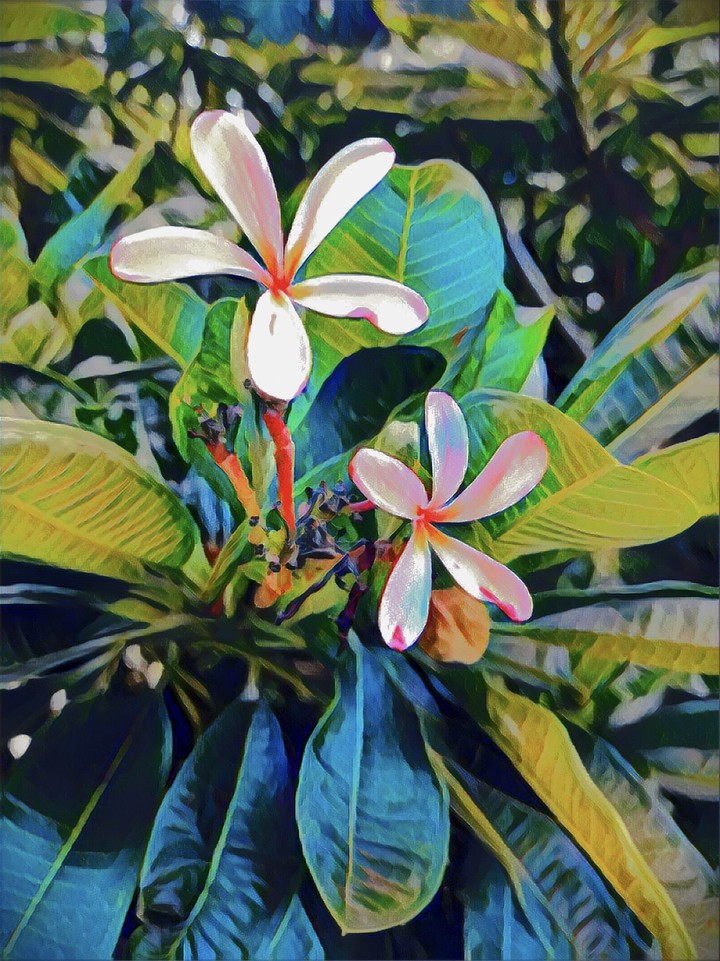 A Filtered Flower