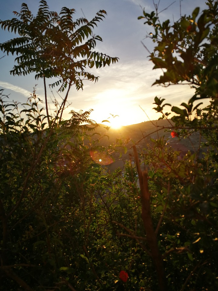 natural sunset
