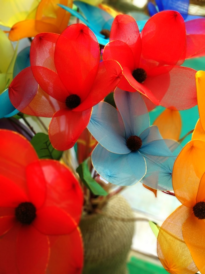 colours