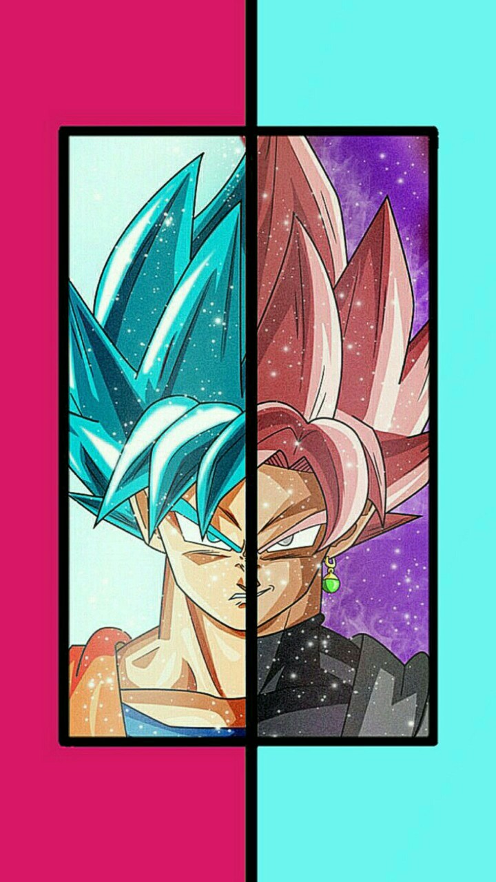 goku & black goku