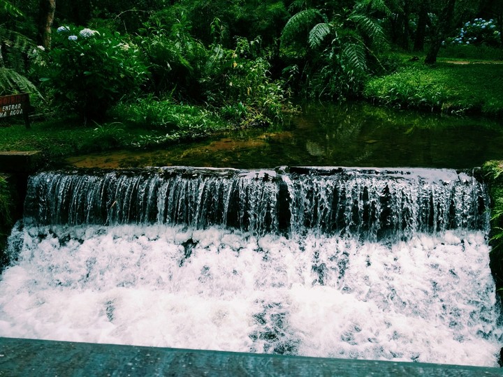 Water