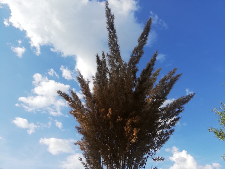 небо