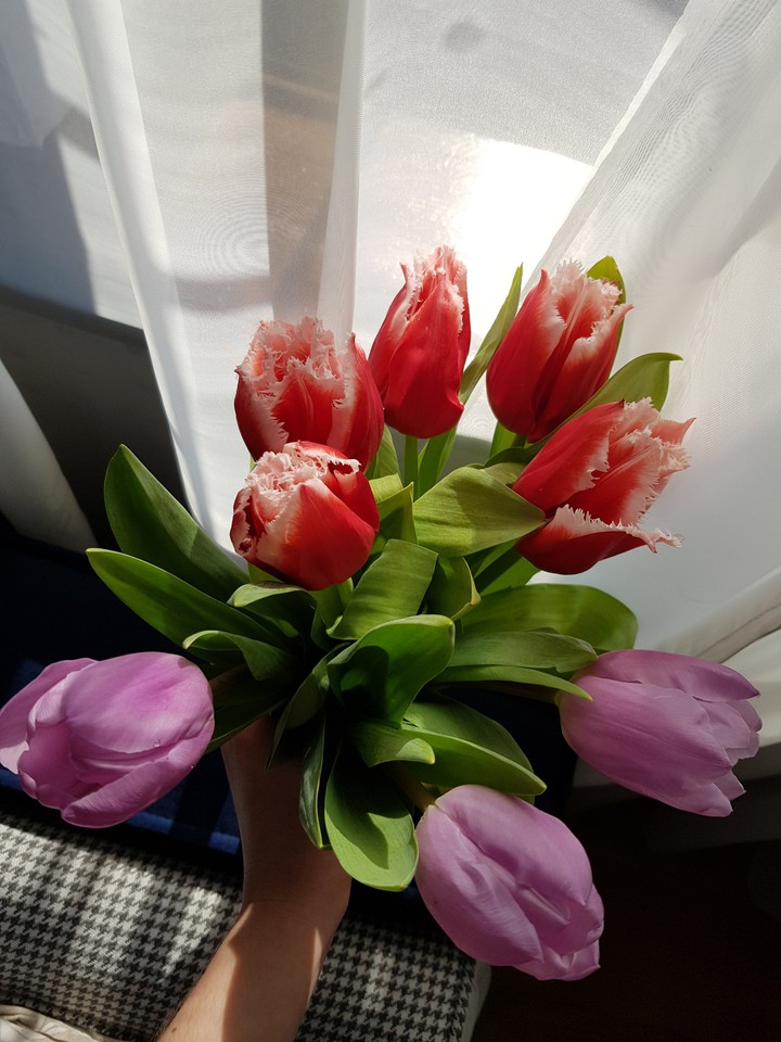 breathe spring