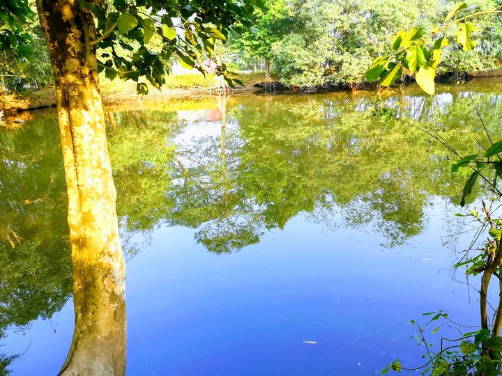 beautiful nature