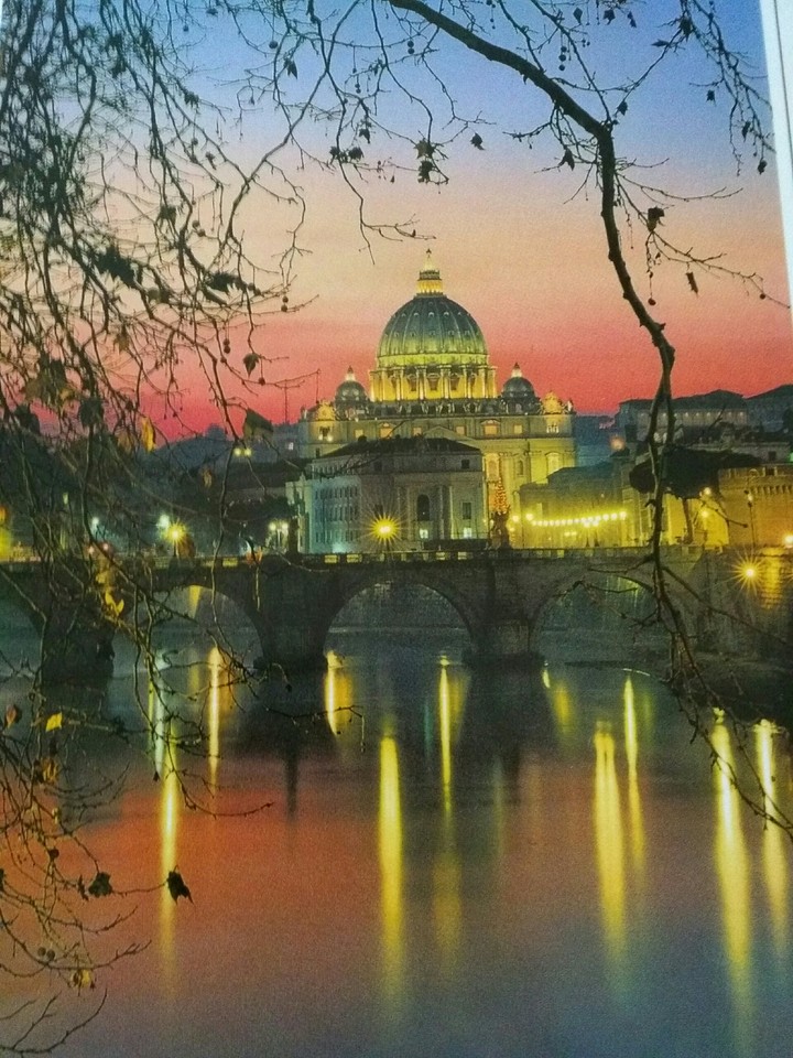 Foto scattata in mezzo ai alberi